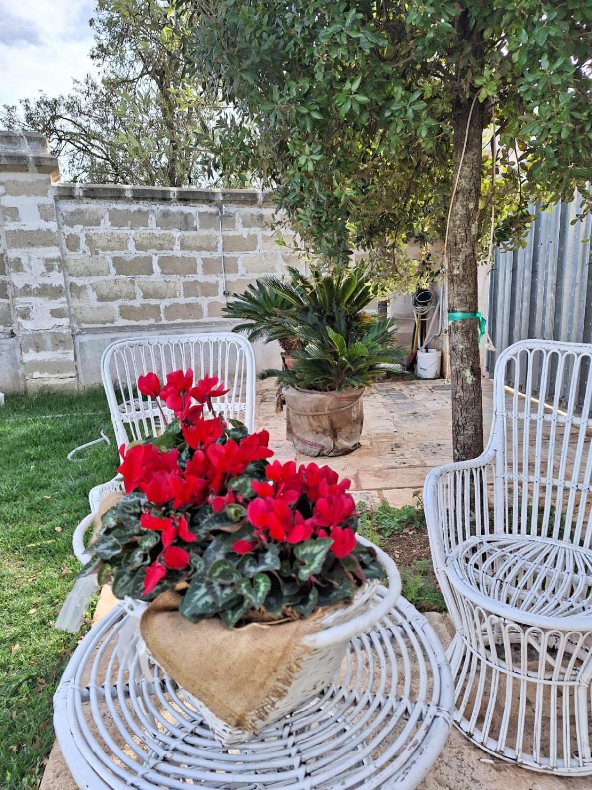 סנטרמו אין קולה B&B Le Torri מראה חיצוני תמונה