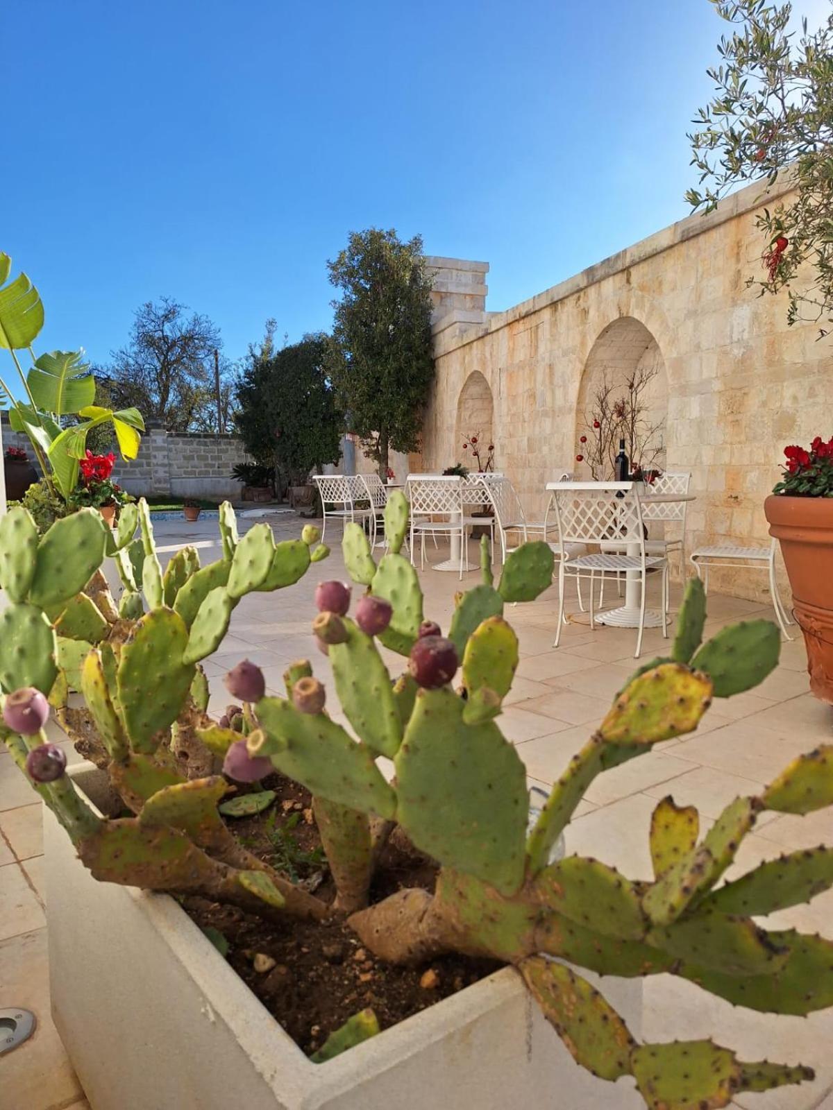 סנטרמו אין קולה B&B Le Torri מראה חיצוני תמונה
